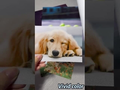 Rolo de papel fotográfico Luster Premium para impressoras de grande formato Epson / Canon / HP