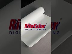 Papel PP Brilhante Autocolante