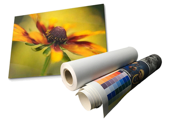 Látex Matte Waterproof Polyester Canvas Roll Eco 280gsm solvente
